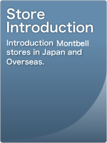 Store Introduction